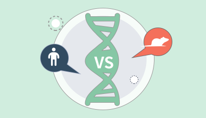 Gene Comparison