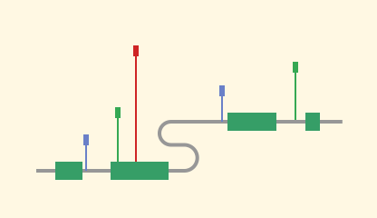 SNP Visualization