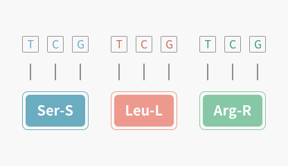 Amino Acid Translation Tool