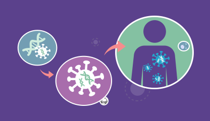 AAV Capsid Viability Predictor