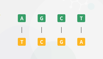 DNA Reverse Complement Tool