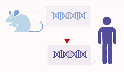 Homolog Predictor