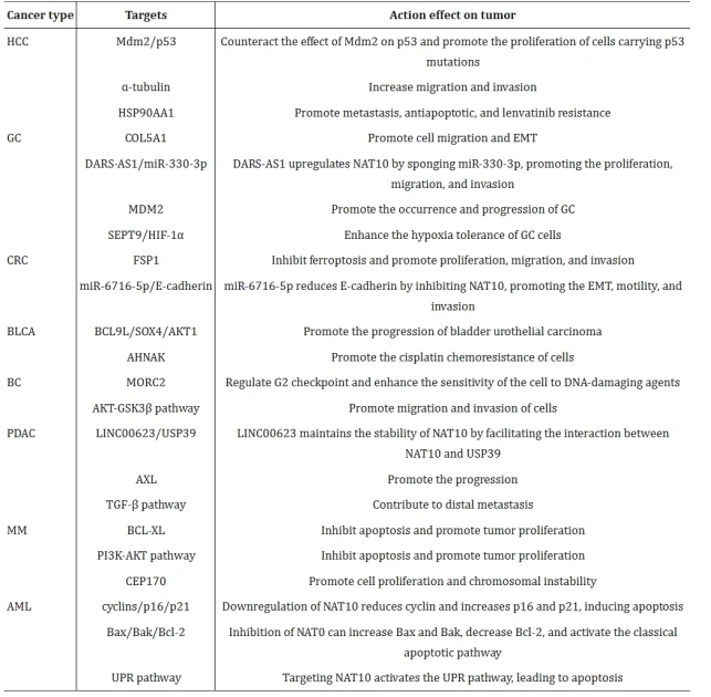NAT10在不同人类癌症中的作用机制