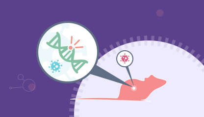 小鼠表型预测模型