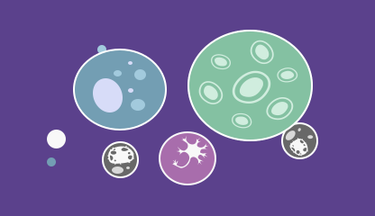 基因表达可视化数据库