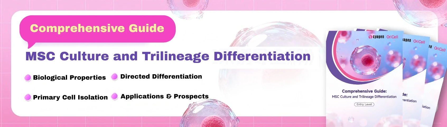 Cyagen OriCell Mesenchymal Stem Cell Guide Content Overview