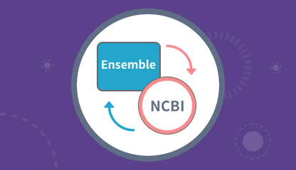Ensembl-NCBI 转换