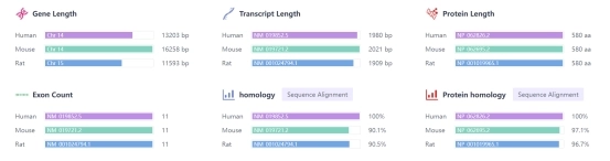Mettl3在多种疾病中的作用